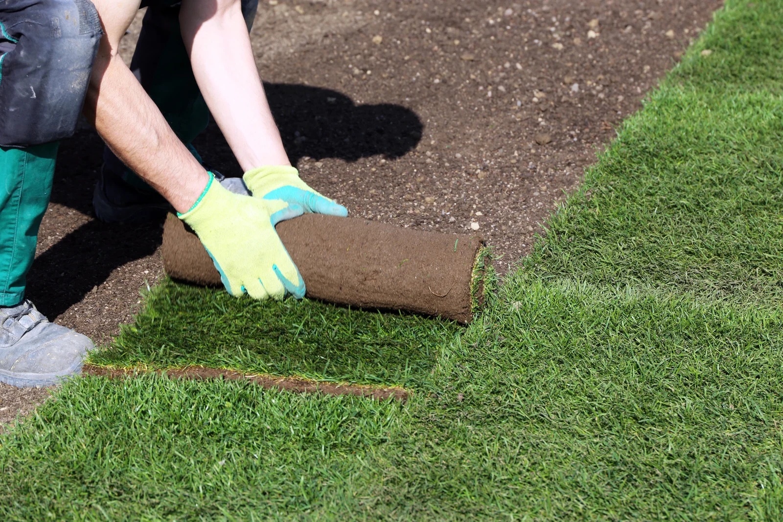 Rolling turf