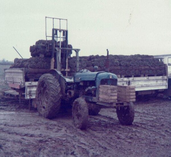 Lc turf image03