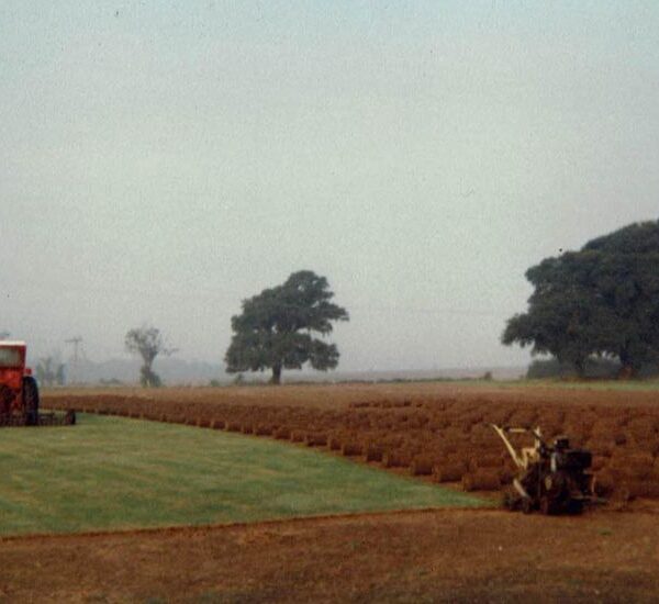 Lc turf image06