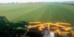 Mowing field for harvesting Huntingdon
