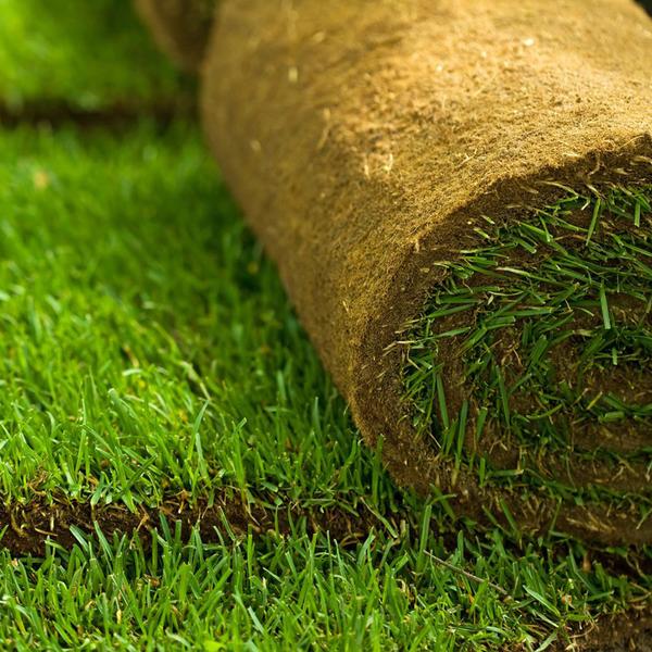 Pidley Turf Supplies